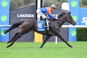 O'BRIEN'S THINK TANK OVERFLOWING